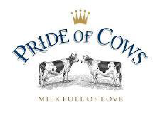 Pride of Cows